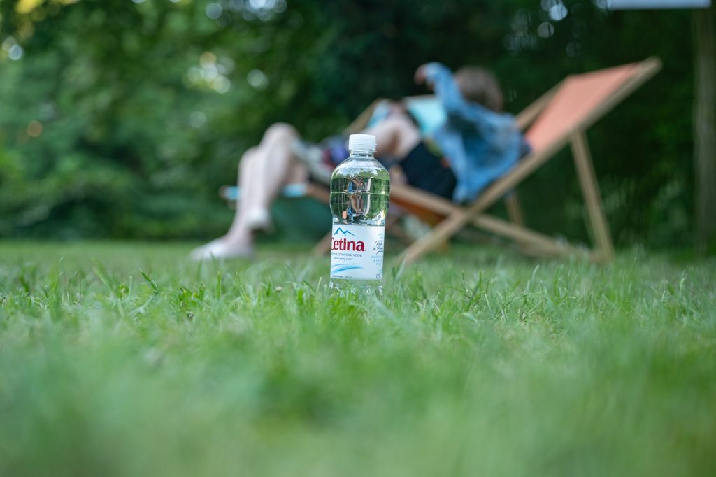 Knjige u krošnjama — fotografija 19