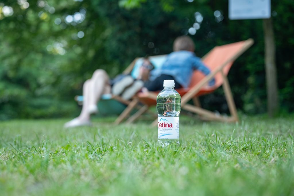Knjige u krošnjama — fotografija 20