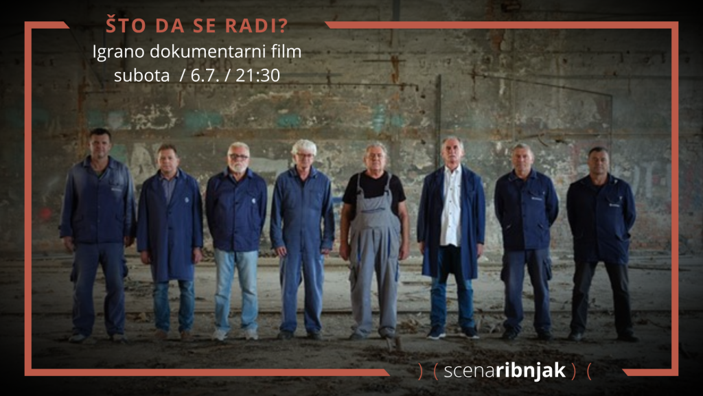 Ljetno kino Ribnjak