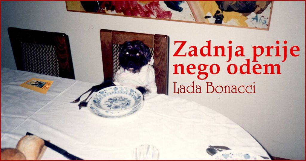 Zadnja prije nego odem — fotografija 1